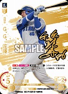 ※秋葉原店併用商品 G.G.佐藤(埼玉西武ライオンズ)(LG+) 【TBP01-L05LG+】